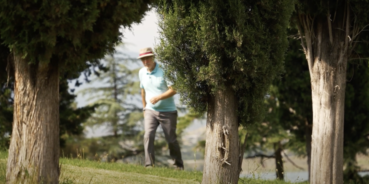 გაიცანით “თბილისის ბულვარს” მობინადრე – ვაჟა კვარაცხელია