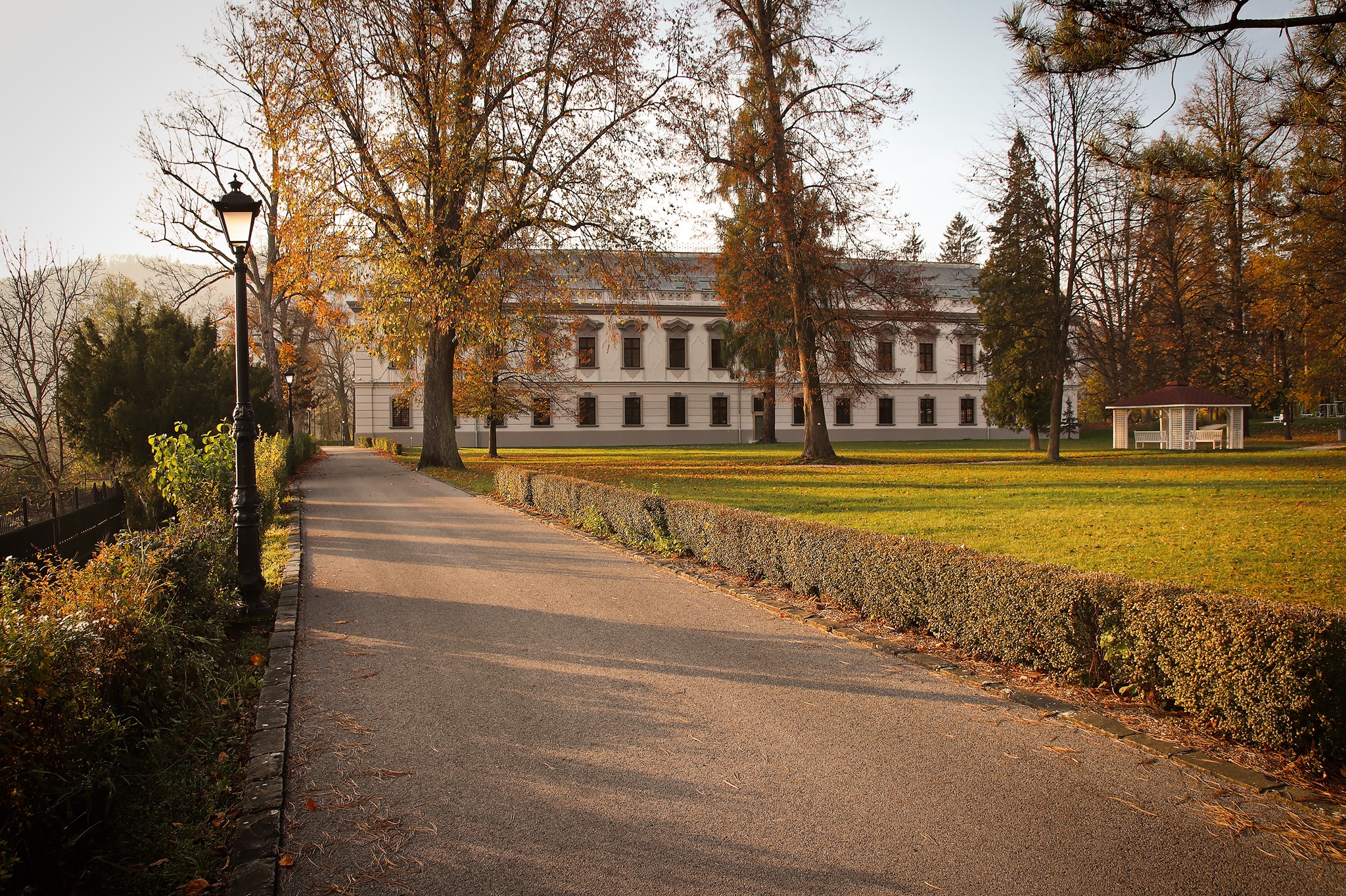 ᲡᲐᲡᲢᲣᲛᲠᲝ ᲯᲘᲜᲝ ᲞᲐᲠᲙ ᲞᲐᲚᲐᲡᲘ